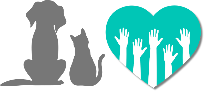 Ambassadors-Header-Image